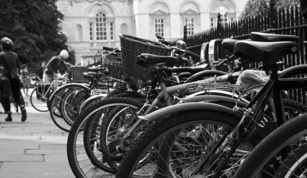 Tipik Cambridge B&W