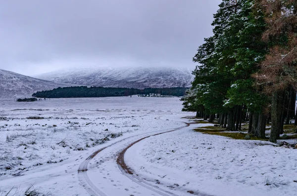 Scotland Cairngorms National Park road and hills with trees in winter. Christmas snow in the mountains