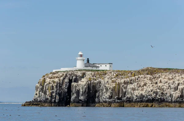 Beautiful Coastal Lighthouse Cliff Cornwall Sunny Day — Foto Stock