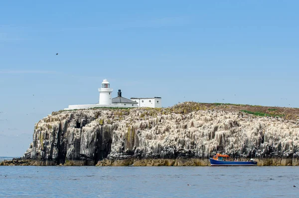 Beautiful Coastal Lighthouse Cliff Cornwall Sunny Day Boat Sea — Foto Stock