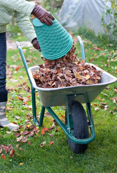 Pulizia autunnale — Foto Stock