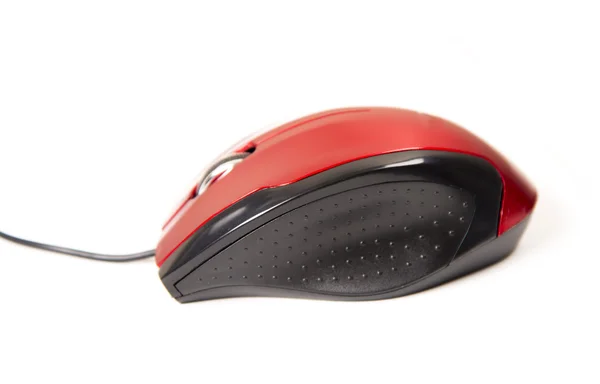 Res computer mouse — Stock Photo, Image