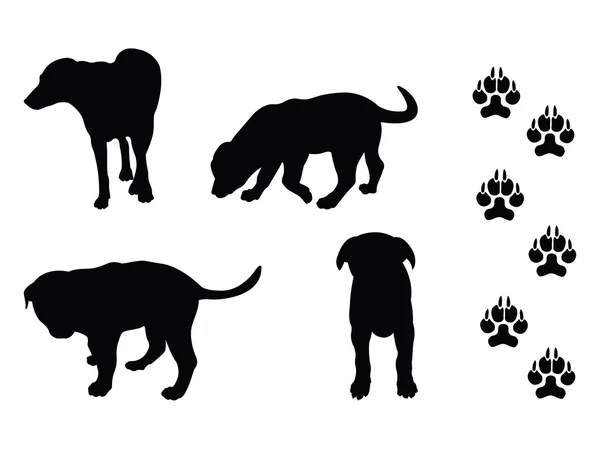 Dog silhouettes — Stock Vector