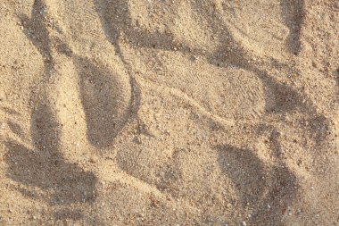 İnşaat kumları, ajansta harç karıştırmaya hazır.