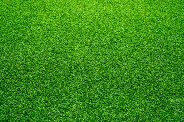 Lawn Home Increase Green Space Increase Oxygen Reduce Glar — Stock Photo, Image