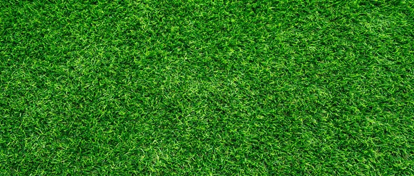 Лужайка Дома Увеличить Зеленые Площади Увеличить Кислород Уменьшить Glar — стоковое фото