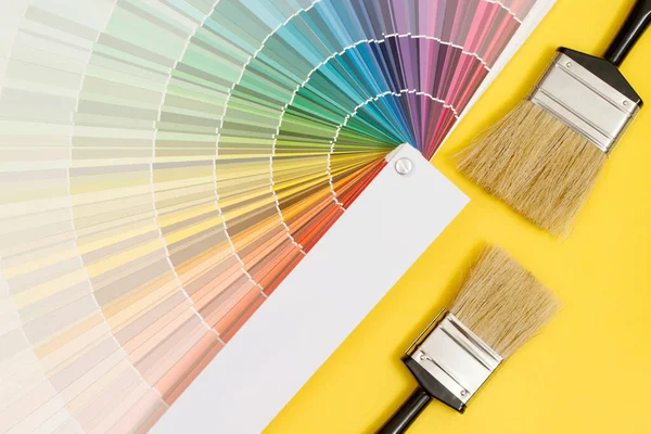 A painter is choosing a paint shade for the interior of the house\'s walls. with interior