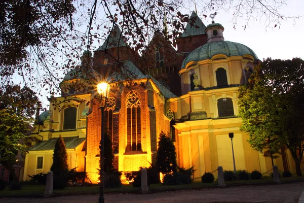 Katedral Santo Yohanes di malam hari, Wroclaw, Polandia, Ostrow Tumski — Stok Foto