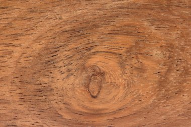 Exotic wood texture clipart