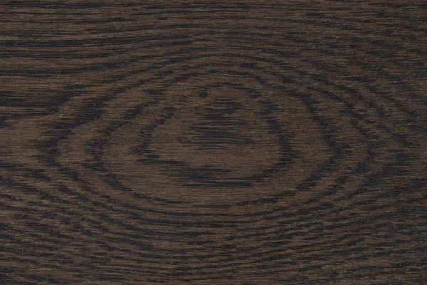 Dark oak tree wood texture — Stock Photo, Image