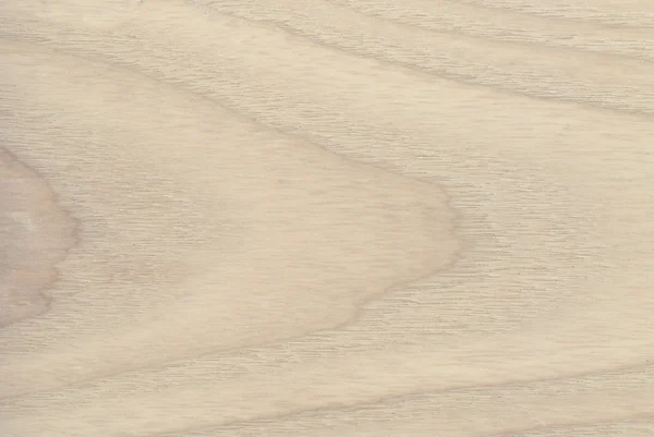 Textura de madera de fresno — Foto de Stock