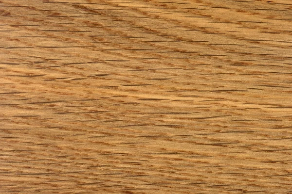 Brown oak tree wood texture — Stock Photo, Image
