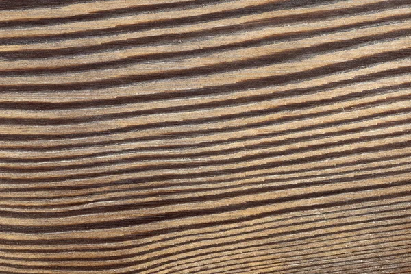Textura de madera de árbol de alerce — Foto de Stock