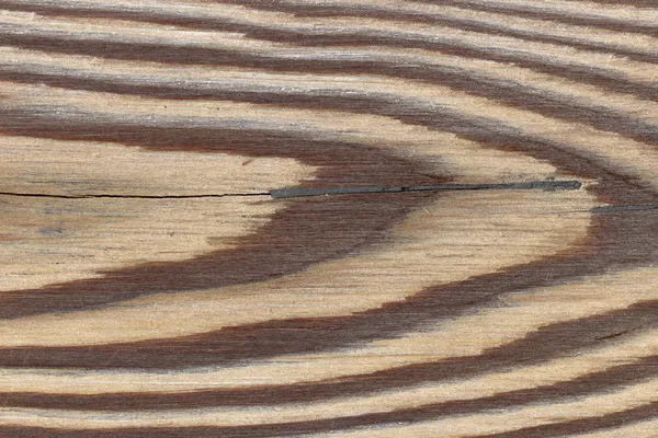 Larice struttura legno — Foto Stock