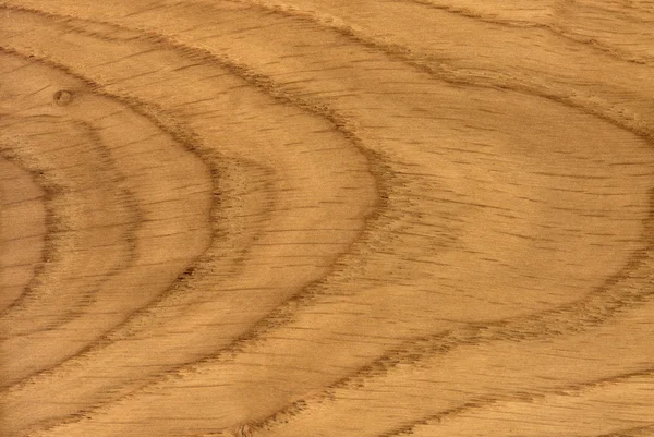 Texturu dřeva dub — Stock fotografie