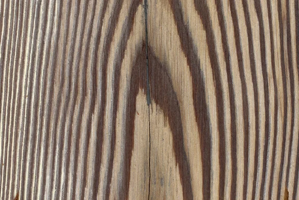 Textura de madera de árbol de alerce — Foto de Stock