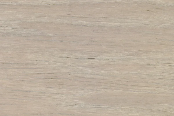 Roble rústico ligero, textura de madera — Foto de Stock