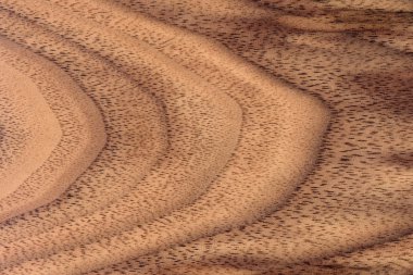 ceviz ağacı ahşap doku