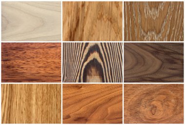 Wood textures - wooden floor clipart