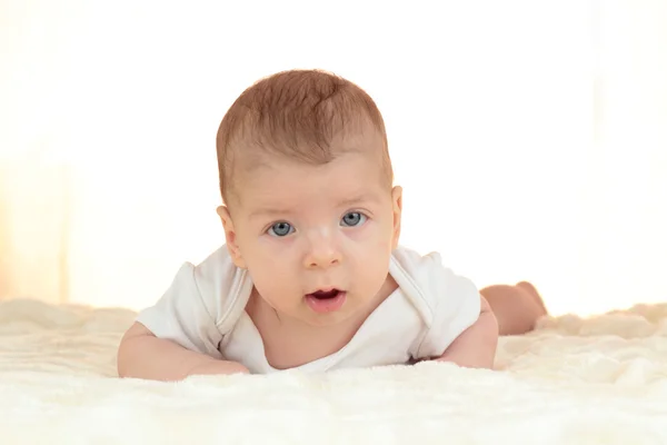 Lindo bebé chico — Foto de Stock