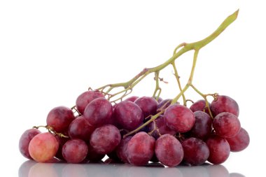 Beyaz arkaplanda bir demet üzüm