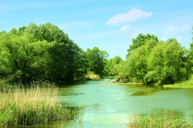Nehir ve mavi gökyüzü ile yaz manzarası