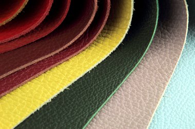 renk paleti örnek seçici deri malzeme