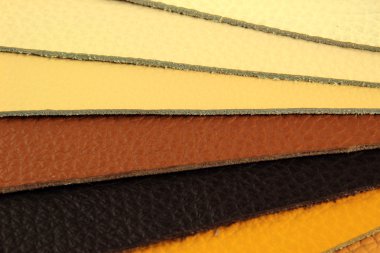 renk paleti örnek seçici deri malzeme