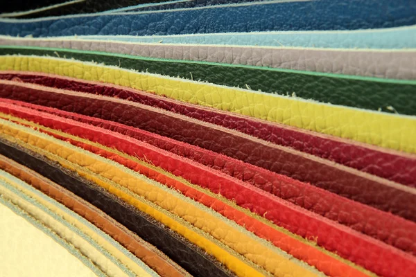 Recogedor de muestras de paleta de colores de material de cuero —  Fotos de Stock