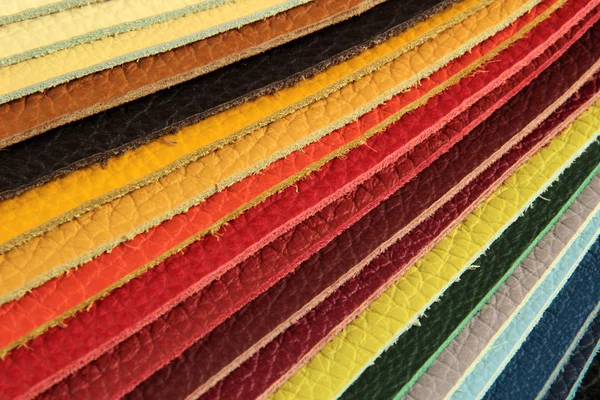 Color palette sample picker of leather material — Stock Photo, Image