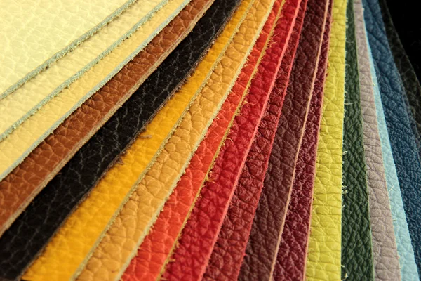 Зразок кольорової палітри зі шкіряного матеріалу — стокове фото
