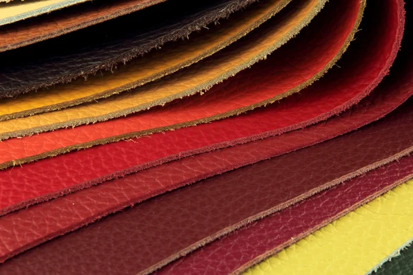 Recogedor de muestras de paleta de colores de material de cuero — Foto de Stock
