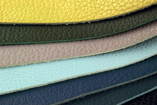 Farbpalette Musterpflücker aus Ledermaterial — Stockfoto