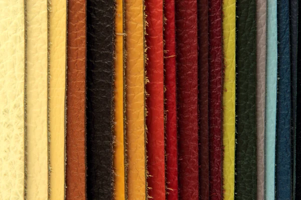 Recogedor de muestras de paleta de colores de material de cuero — Foto de Stock