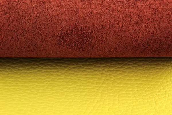 Зразок кольорової палітри зі шкіряного матеріалу — стокове фото