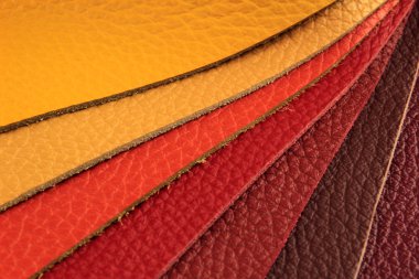 Natural leather upholstery samples with stitching in various colors clipart