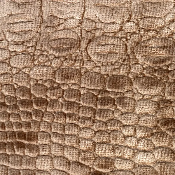 Luxusní krokodýlí textura — Stock fotografie
