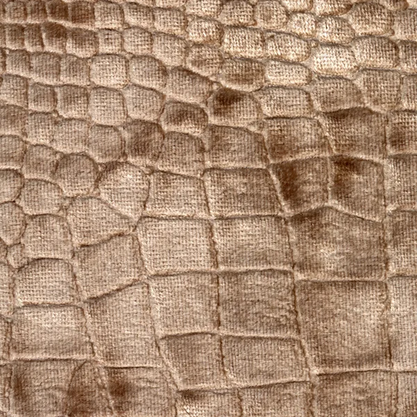 Texture di coccodrillo di lusso — Foto Stock