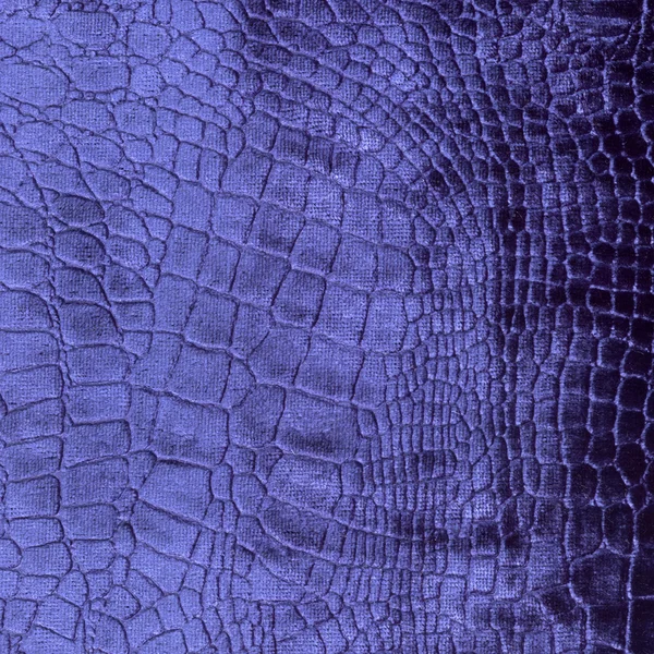 Розкіш крокодила текстури — стокове фото