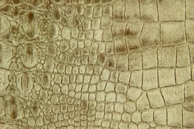 lüks timsah doku veya arka plan