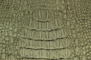 lüks timsah doku veya arka plan