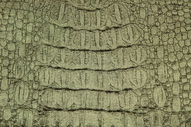 lüks timsah doku veya arka plan