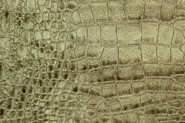 Textura de cocodrilo de lujo o fondo —  Fotos de Stock