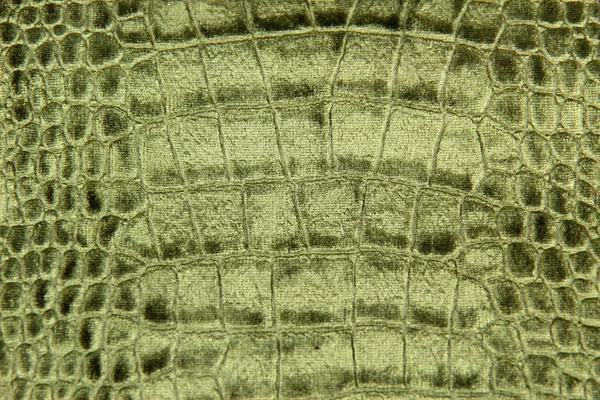 Роскошная текстура крокодила или фон — стоковое фото