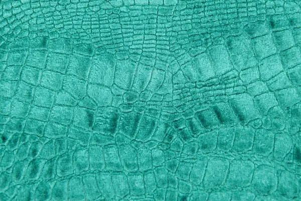 Luxusní krokodýlí textura nebo pozadí — Stock fotografie
