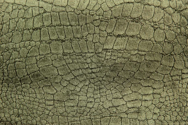 Textura de crocodilo de luxo ou fundo — Fotografia de Stock