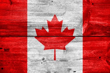 Canada flag painted on old wood plank background clipart