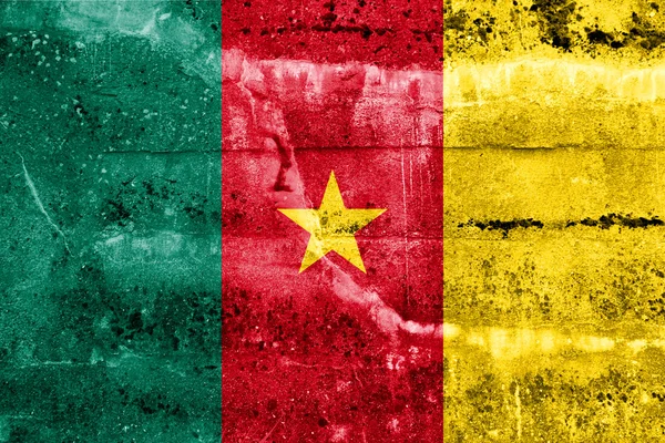 Cameroon Flag painted on grunge wall — Stock Photo, Image