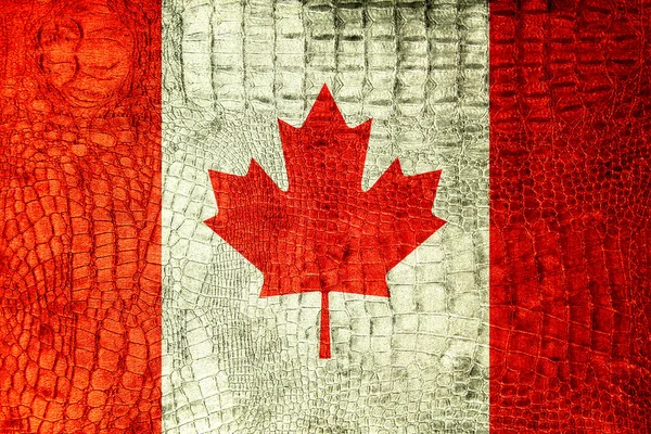 Bandera de Canadá pintada en textura de cocodrilo de lujo —  Fotos de Stock