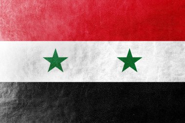 Suriye bayrağı deri dokusu üzerinde boyalı